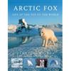 Garry Hamilton Arctic Fox (Tascabile)