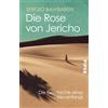 Sergio Bambaren Die Rose von Jericho: Die Geschichte eines Neuanfang (Tascabile)