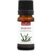 La Compagnie des Sens ABETE NERO (Picea mariana) BIO - 10mL - Olio Essenziale di Qualità Premium - 100% Puro, Naturale, Garantito ChromaCert® - Chemiotipizzato & Integrale