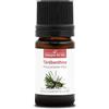 La Compagnie des Sens TEREBENTINA (Pinus pinaster) BIO - 5mL - Olio Essenziale di Qualità Premium - 100% Puro, Naturale, Chemiotipizzato e Integrale