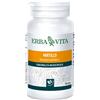 ERBA VITA GROUP SpA Mirtillo 100 perle - ERBA VITA - 900798531
