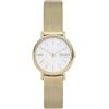 Skagen Signatur - Orologio a due lancette da 30 mm, con rete in acciaio o cinturino in pelle