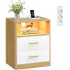 VASAGLE Comodino con Stazione di Ricarica, Porte USB, Luci LED, 2 Cassetti | Comodino in Truciolato e MDF, 40,1 x 30 x 50,2 cm, per Camera da Letto, Rovere e Bianco, Collezione CUSTOS LET629YD01
