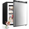 Generic Mini congelatore verticale 1,1 piedi cubi, compatto indipendente, nero(1.1 Cu.Ft - Silver)