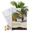 HAPPY SEED Semi di palma da dattero delle Canarie (Phoenix canariensis) - Palma esotica ideale come pianta in vaso per interni ed esterni