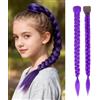 LLZBEAUTYHair Kpop - Parrucca per capelli viola sintetici, 26 pollici, per cosplay, Halloween, balli mascherati e giochi di ruolo, trecce lunghe (viola, 26 pollici)