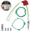 Aoreun Kit di riparazione per candelette, 12 V 24 V 5 KW 8 KW Kit ceramico riscaldatore da parcheggio con candelette,accessori per riscaldamento diesel per Riscaldamento Ad Aria,Diesel,Parcheggio,Auto