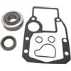 BDDCUHI6S Kit cuscinetto cardanico con guarnizione for SX 86300 21906 86560 3852548