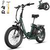 WILDEWAYEBIKE WILDEWAY FW11 Pro Bici Elettrica Pieghevole, 250 W, 48 V 35 Ah 1680 Wh, Autonomia 100-160 km, Fat Tire 20x3,0, Freni Idraulici, per Consegne, Delivery e Pendolarismo Urbano