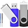 TEWENE Set di 2 Chiavette USB 2.0 Rotanti con Tracolla Portachiavi - Ottimo Regalo per Bambini, Genitori ed Amici (8G, Nero / Blu)