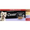 CESAR® Creations - Sacchetto porzionato Senior, 4 varietà di manzo, pollo, agnello, tacchino in gelatina, 40 x 100 g