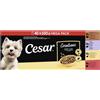 CESAR® Creations - Confezione multipla di bustine porzionate, 4 varietà di manzo, pollo, agnello, tacchino in salsa, 40 x 100 g