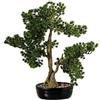 DRW Pianta artificiale di un bonsai di cipresso in PE e PVC con vaso in verde e marrone, 48 x 26 x 48 cm