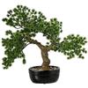 DRW Pianta artificiale di un bonsai di un pino in PE e PVC con vaso in verde e marrone, 40 x 26 x 36 cm