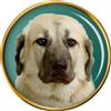 Anatolici Shepherd Cane Distintivo di Lapel Pin