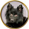 Schipperke Cane Distintivo di Lapel Pin