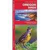 James Kavanagh Waterford Press Oregon Birds (opuscolo)