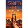 Danielle Steel Trial by Fire (Tascabile)