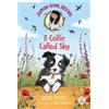 Helen Peters Jasmine Green Rescues: A Collie Called Sky (Tascabile)