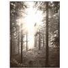 ABCWARRT Nordic Lake Reed Forest Stampa su Tela Pittura Scandinavo Nebbioso Fieno Paesaggio Natura Poster Bovini Immagine Moderna Home Decor (30 * 40cm Nessuna Cornice,4)