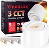 YindaLux 3CCT Faretto da Soffitto Orientabile Nero, Ø80x50mm Alluminio Faretti da Soffitto 230V, 5W 500LM Dimmerabile Lampada da Soffitto Downlight, Plafoniera LED Soffitto con Modulo LED Incluso