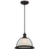 Westinghouse Lighting 6336940 Lampada a Sospensione per Interni Monoluce, Bronzata ad Olio