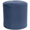 Marvin Pouf Contenitore in Velluto Selina Sgabello Salvaspazio con Vano Portaoggetti Seduta Moderna Elegante per Soggiorno Camera da Letto (Blu)