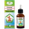 Renaco Citoyang Curcuma Integratore Antinfiammatorio in Gocce, 50ml
