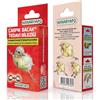 Générique Anello di supporto per zampe, in plastica, 3 mm e 4 mm canarini
