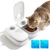 PORFOYO Distributore automatico di cibo per gatti, 2 pasti, distributore automatico per cibo umido per gatti, con timer da 48 ore, 700 ml cibo secco e umido, per gatti e cani di piccola taglia