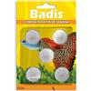 Moly Badis Food Weekend Blocks Calcium