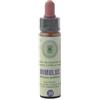 FIORI BACH*MIMULUS 11,800ML - - 902198581