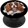 4CavalierKingCharlesSpanielLovers Divertente Cavalier King Charles Spaniel che sbircia carino amante dei cani PopSockets PopGrip Adesivo