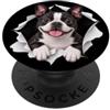 4BostonTerrierLovers Divertente Boston Terrier che sbircia carino amante dei cani mamma papà PopSockets PopGrip Adesivo