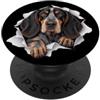 4BluetickCoonhoundLovers Funny Bluetick Coonhound Peeking Cute Dog Lover Mamma Papà PopSockets PopGrip Adesivo