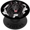 4BelgianSheepdogLovers Divertente cane da pastore belga che sbircia carino amante dei cani mamma papà PopSockets PopGrip Adesivo