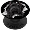 4GiantSchnauzerLovers Divertente Schnauzer gigante che sbircia carino amante dei cani mamma papà PopSockets PopGrip Adesivo