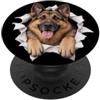 4GermanShepherdLovers Divertente pastore tedesco che sbircia carino amante dei cani mamma papà PopSockets PopGrip Adesivo
