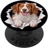 4BrittanyLovers Divertente Bretagna Sbirciando Carino Amante Del Cane Mamma Papà PopSockets PopGrip Adesivo