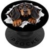4BlackTanCoonhoundLovers Divertente Coonhound nero e marrone chiaro che sbircia carino amante dei cani mamma papà PopSockets PopGrip Adesivo