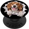 4BeagleLovers Divertente Beagle che sbircia carino amante dei cani mamma papà PopSockets PopGrip Adesivo