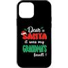 Dear Santa My Grandma Family Matching Ch Custodia per iPhone 12 mini Dear Santa It Was My Grandma's Fault Family Christmas