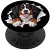 4BerneseMountainLovers Divertente montagna bernese che sbircia carino amante dei cani mamma papà PopSockets PopGrip Adesivo