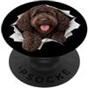 4BarbetLovers Divertente Barbet Sbirciando Carino Amante Del Cane Mamma Papà PopSockets PopGrip Adesivo