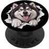 4AlaskanMalamuteLovers Divertente Alaskan Malamute Sbirciando Carino Amante Del Cane Mamma Papà PopSockets PopGrip Adesivo