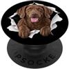 4ChesapeakeBayRetrieverLovers Divertente Chesapeake Bay Retriever Sbirciando Carino Cane Amante Mamma PopSockets PopGrip Adesivo