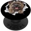 4CairnTerrierLovers Divertente Cairn Terrier che sbircia carino amante dei cani mamma papà PopSockets PopGrip Adesivo