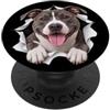 4AmericanStaffordshireTerrierLovers Divertente American Staffordshire Terrier che sbircia carino amante dei cani PopSockets PopGrip Adesivo