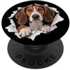 4AmericanFoxhoundLovers Divertente American Foxhound Sbirciando Carino Amante dei Cani Mamma Papà PopSockets PopGrip Adesivo