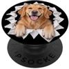 4GoldenRetrieverLovers Divertente Golden Retriever Sbirciando Carino Amante Del Cane Mamma Papà PopSockets PopGrip Adesivo